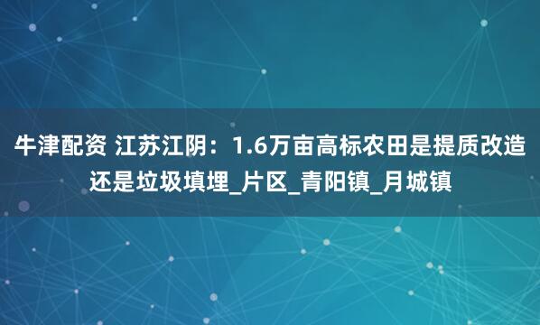牛津配资 江苏江阴：1.6万亩高标农田是提质改造还是垃圾填埋_片区_青阳镇_月城镇