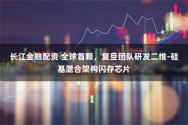 长江金融配资 全球首颗，复旦团队研发二维-硅基混合架构闪存芯片