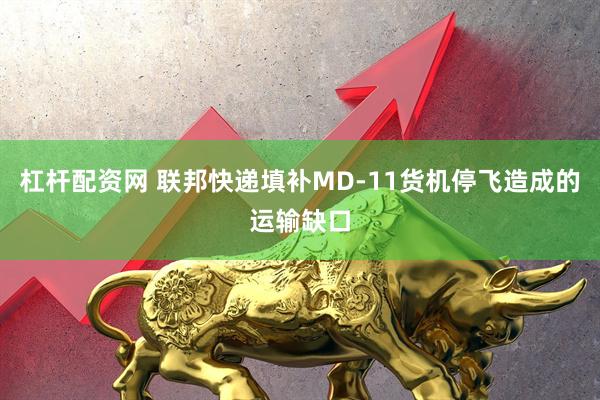 杠杆配资网 联邦快递填补MD-11货机停飞造成的运输缺口