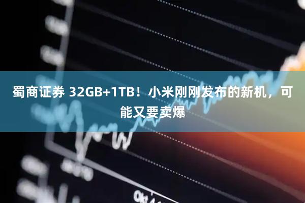 蜀商证券 32GB+1TB！小米刚刚发布的新机，可能又要卖爆